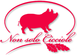 Logo Agriturismo Non Solo Cicciole - Faedis